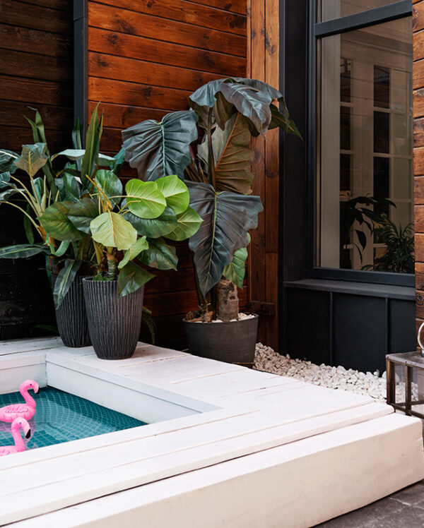 high-angle-pool-plants